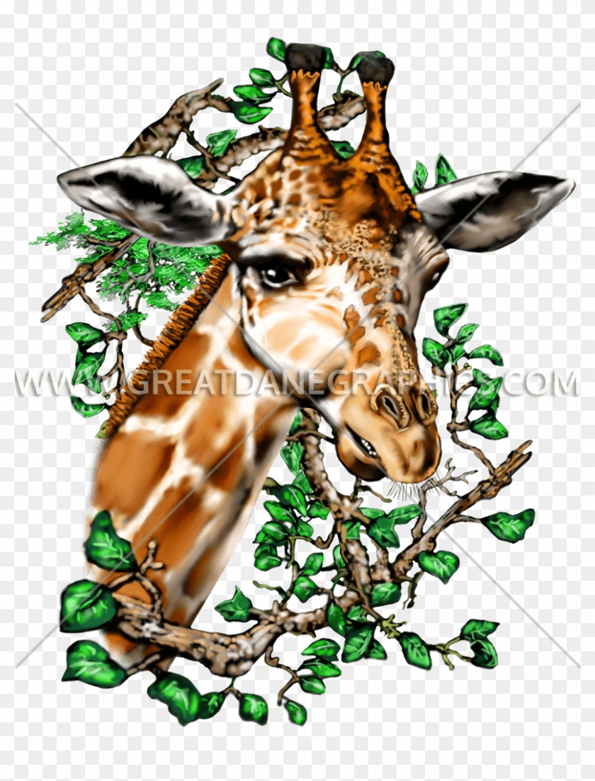 Vector Giraffe Svg - Giraffe Clipart