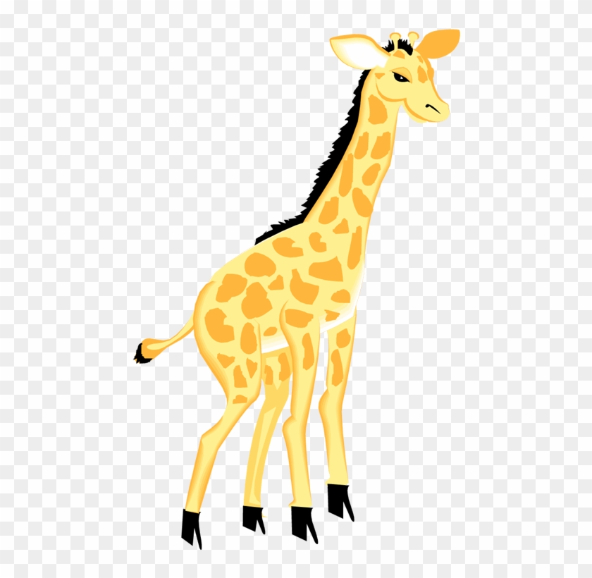 Celebrate It Come Celebrate Penny The Porpoise's Birthday - Free Giraffe Clipart - Png Download