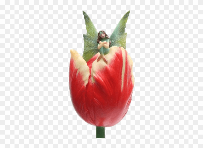 Price Match Policy - Tulip Clipart #3479480