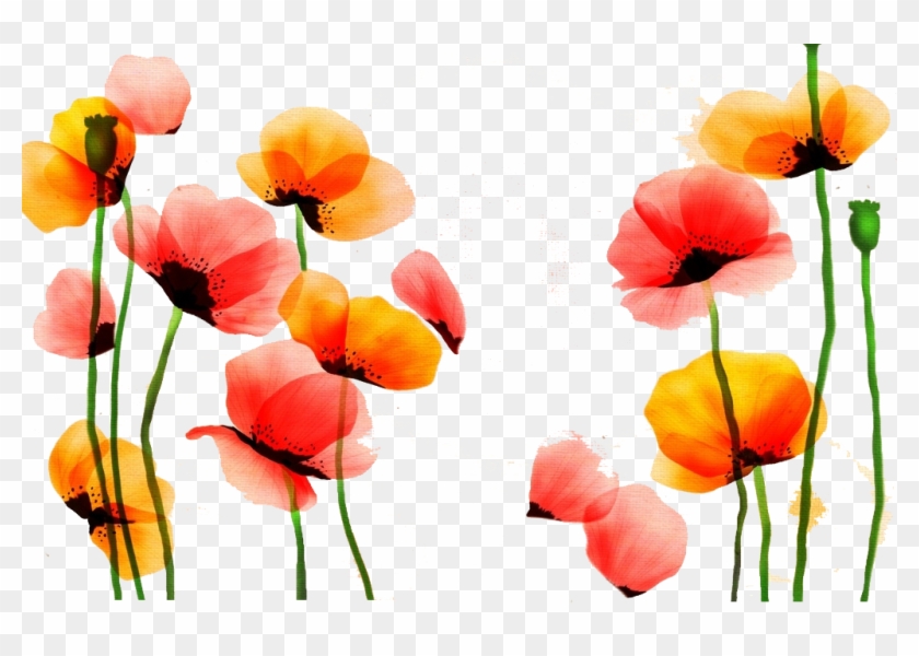 Poppy Watercolor Painting Flower Red Yellow - Red And Yellow Flower Watercolor Clipart