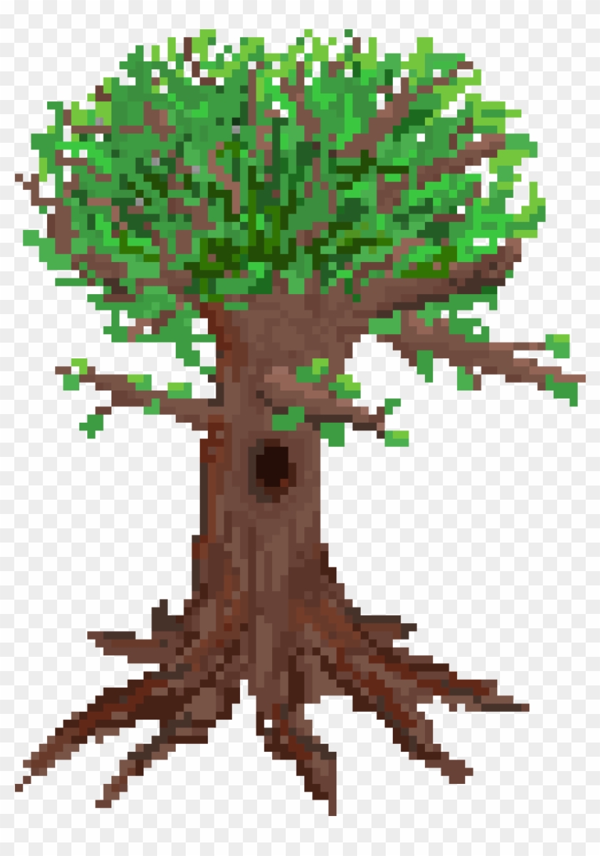 Tree - Elm Clipart #3479928
