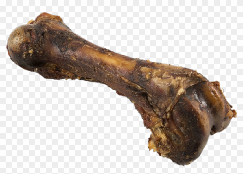 Sweetgrass Pork Femur - Lamb And Mutton Clipart #3480959