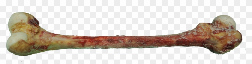 Deep Frozen Whole Femur Without Femoral Head - Weapon Clipart #3481130