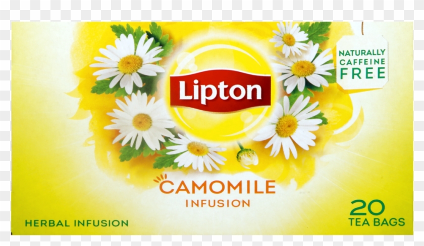Chamomile Lipton Tea Clipart #3481196