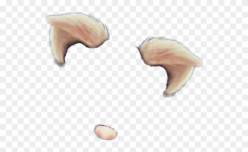 #fofa #urso #png - Snapchat Filter Cat Ears Clipart