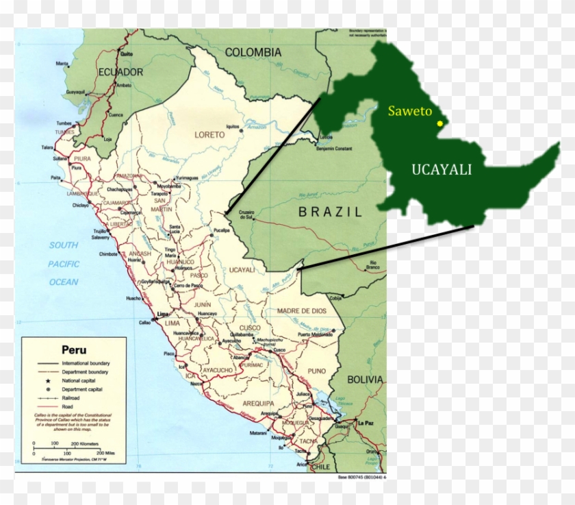 Saweto, The Community Of Edwin Chota, Located In Ucayali, - Shining Path Territory Clipart #3482125