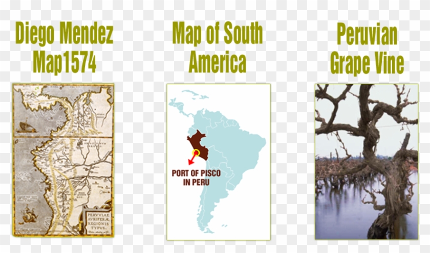 History Of Peruvian Pisco - Primer Mapa Del Peru Clipart #3482618