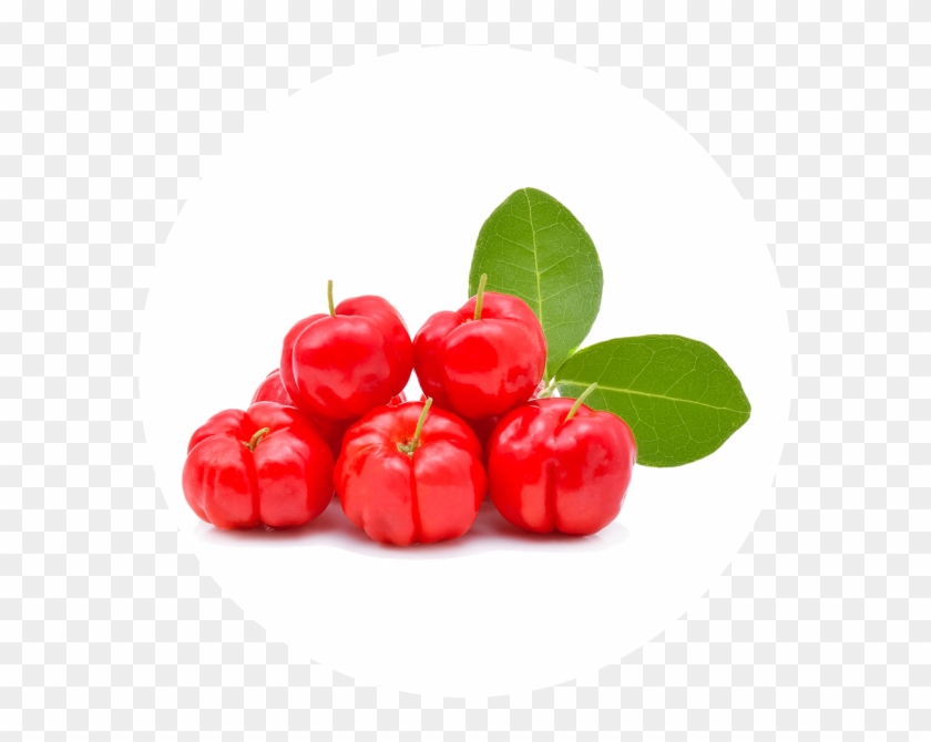 Acerola - Frutas - Acerola Fruit Clipart