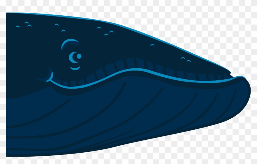 Check Out The Story Of A Language-learning Beluga Whale - Illustration Clipart