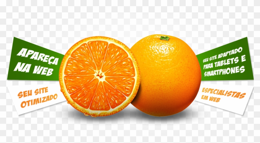 Bg Laranja Fruta - Fresh Bar Clipart #3484634