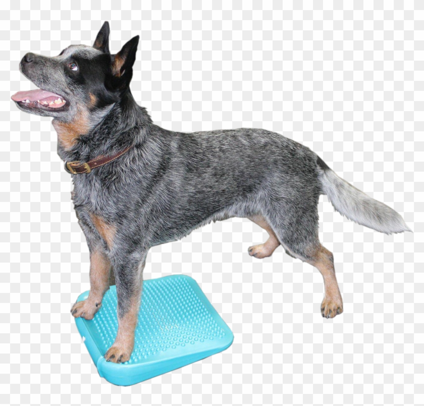 Description - Dog Clipart #3484635