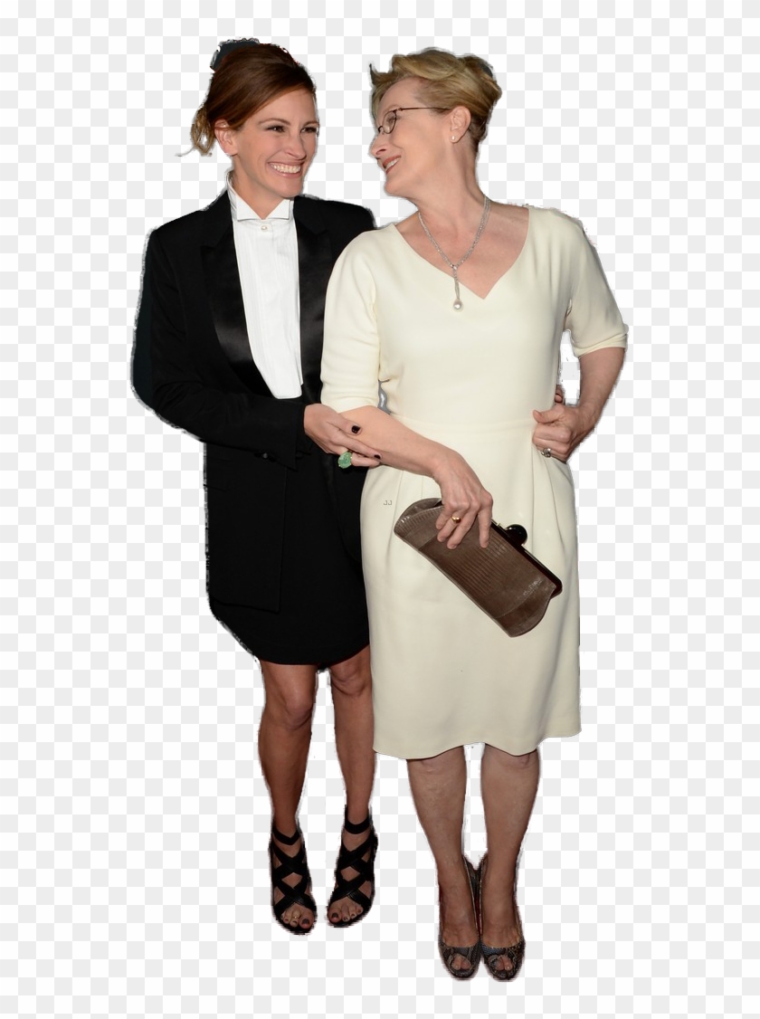 Julia Roberts, Meryl Streep, Entourage, Photoshop, - Meryl Streep Abigail Breslin Clipart #3486263