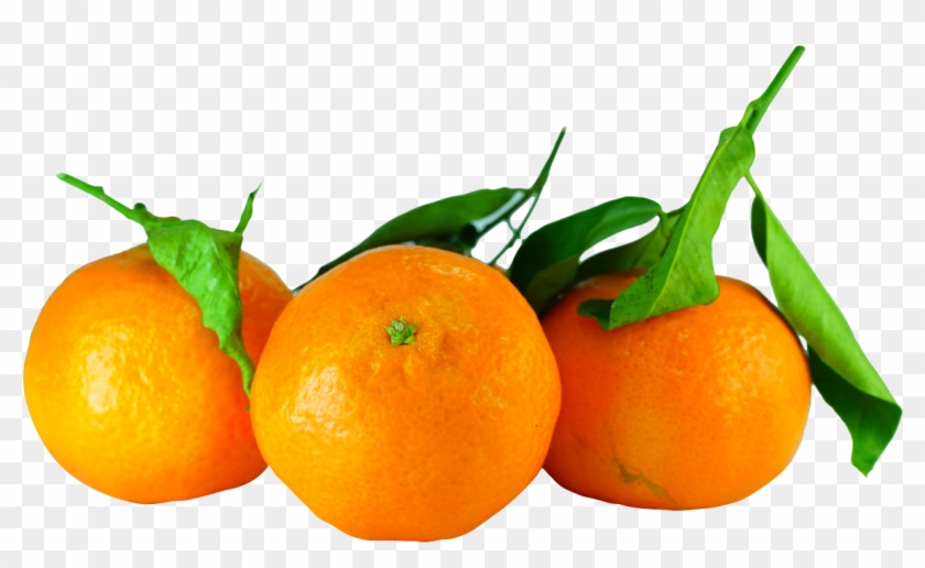 All Posts Tagged In - Tangerines Png Clipart #3488292