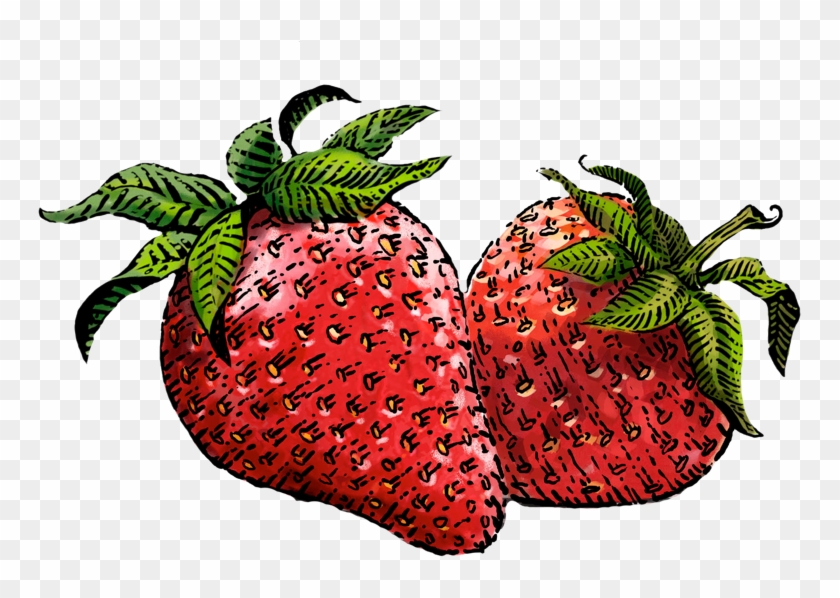 Strawberry Drawing Png - Siggi's Strawberry Clipart