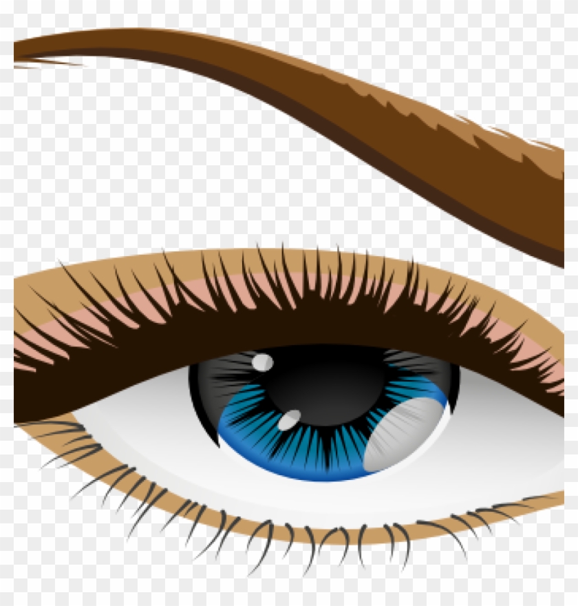 Human Eye Clip Art Free Clipart Download Rh Thelockinmovie - Eyebrow - Png Download #3489038