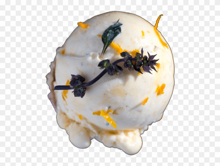 Thai Basil And Mandarin - Insect Clipart