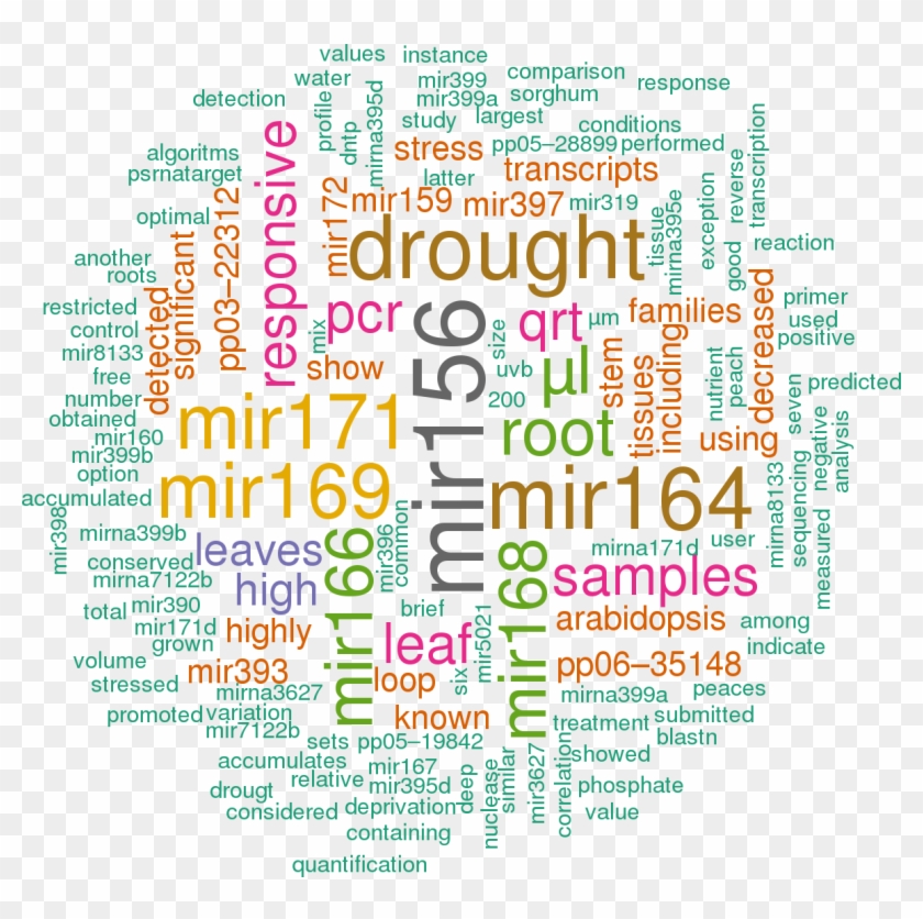 Stem Loop Sequence Ppe Mir395e - Hsa Let 7a 3p 5p 3 Utr Clipart #3490788