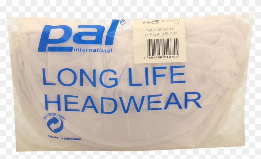 Back - Pal International Clipart