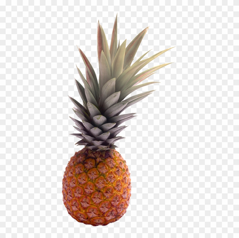 Abacaxi Png Fundo Transparente , Png Download - Abacaxi Png Fundo Transparente Clipart