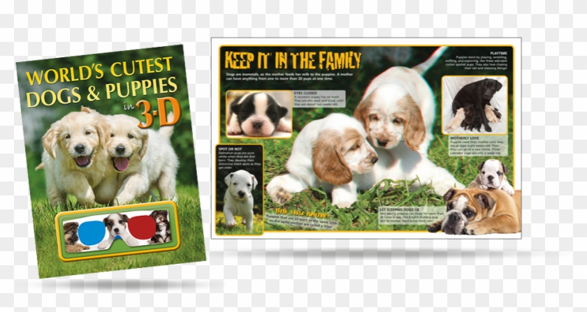 World's Cutest 3d Dogs And Puppies - Companion Dog Clipart #3493149