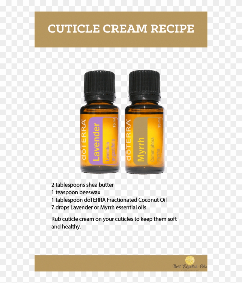 Doterra Diy Cuticle Cream Recipe - Sandalwood Oil For Weight Loss Clipart #3494066