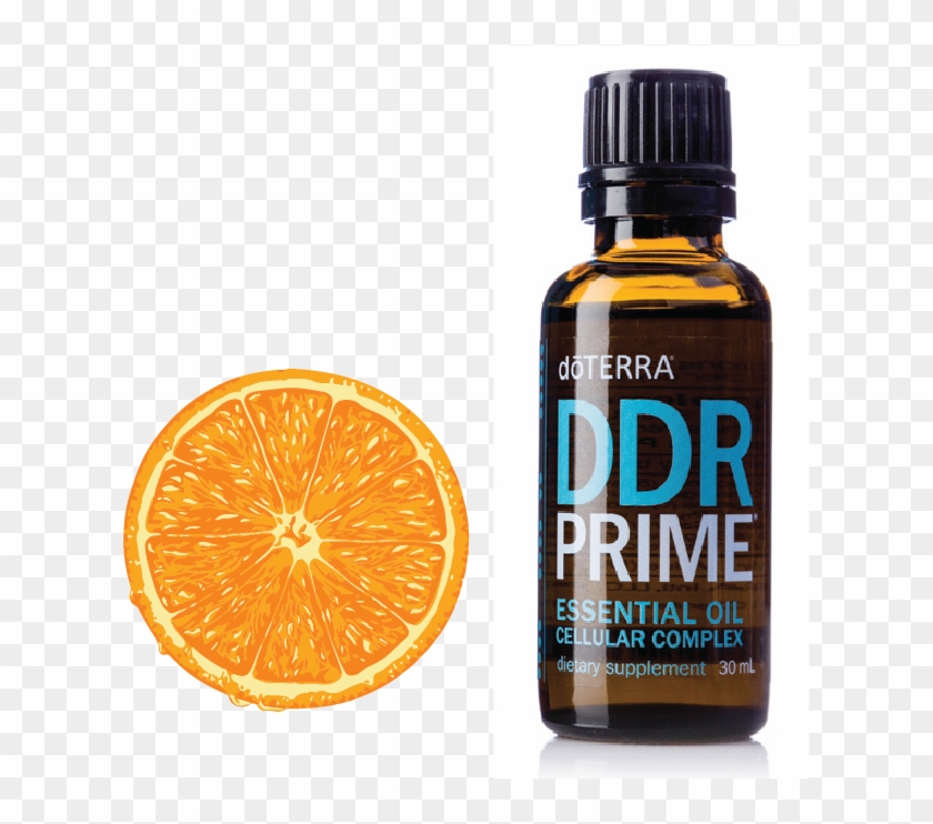 Description - Orange Clipart #3495059