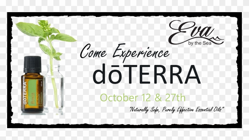 Doterra Party - Doterra Experience Clipart #3495188