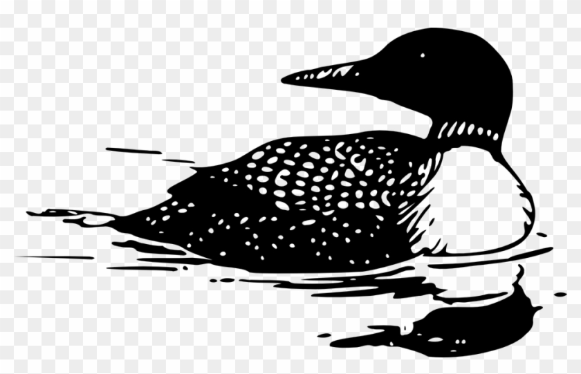 Sirens Of St - Loon Clipart Black And White - Png Download #3495903