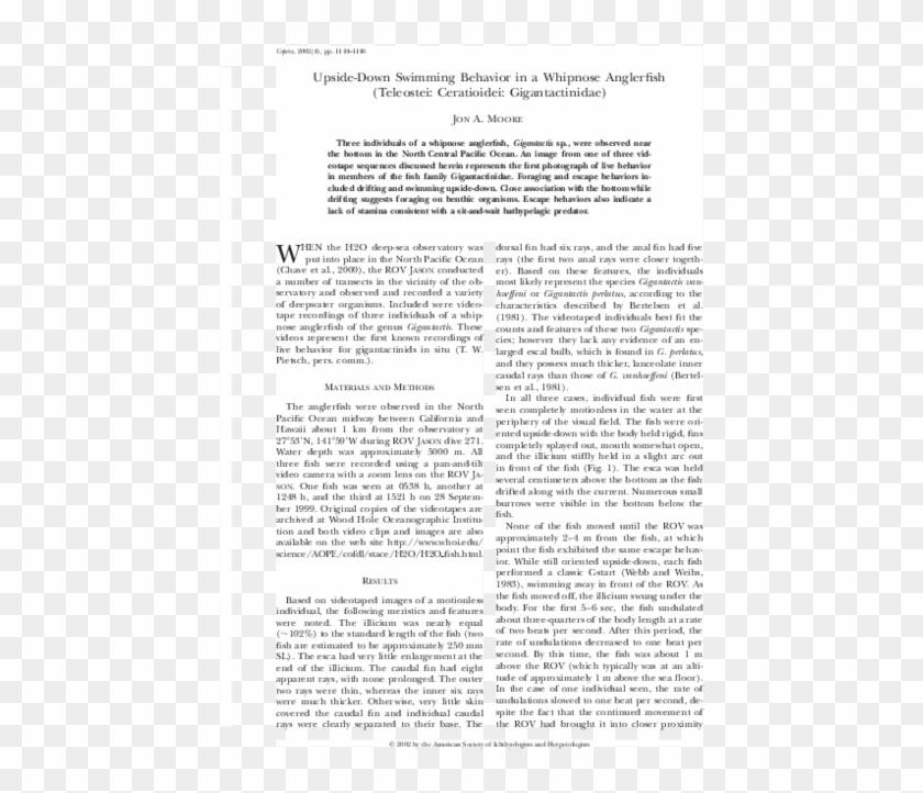 Pdf - Text Design Clipart