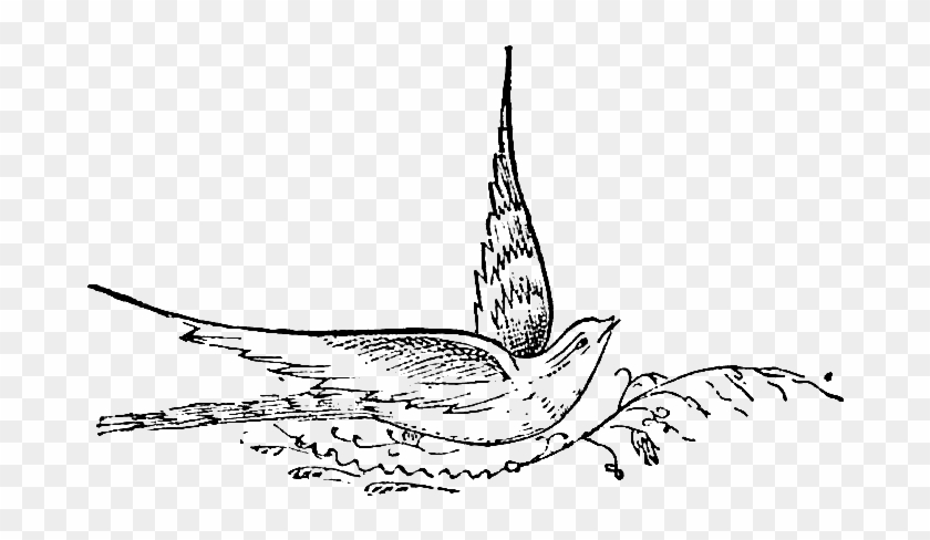 Not Only Can This Digital Stamp Be Used For A Bird-themed - Sketch Clipart