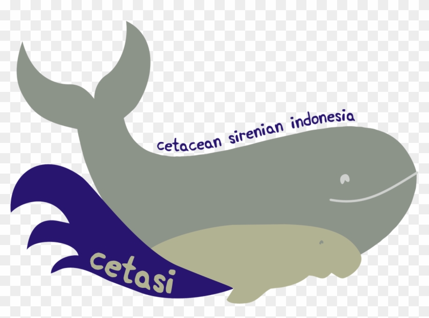 Sperm Whale Clipart Whale Harpoon , Png Download - Sperm Whale Dead Cartoon Transparent Png #352019