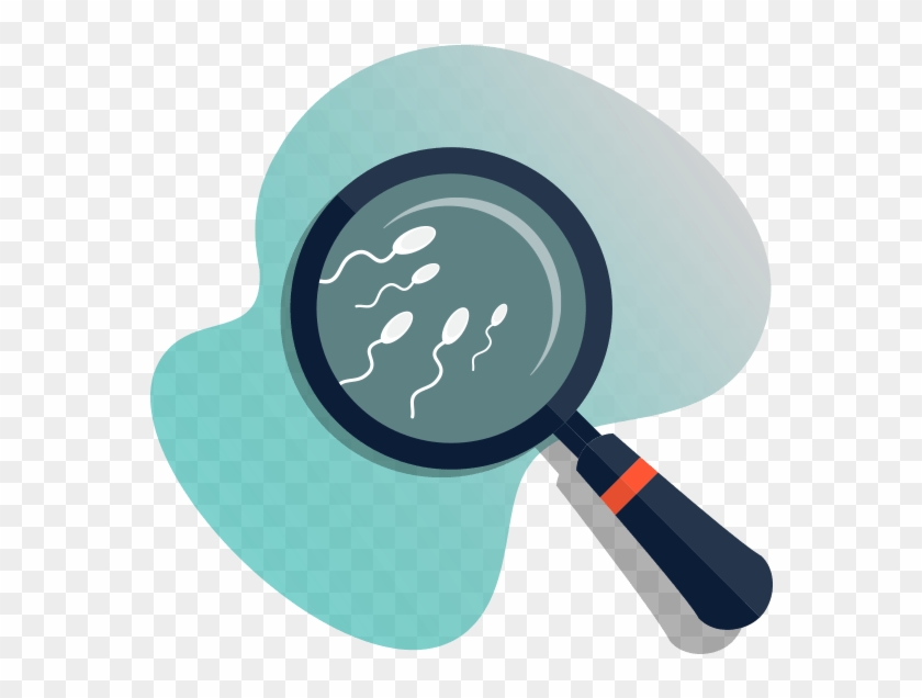 Semen Analysis - Seaman Annalysis Clipart #352054