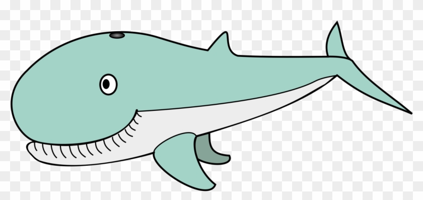 Sperm Whale Humpback Whale Cetacea Killer Whale Baby - Cartoon Hunchback Whale Clipart