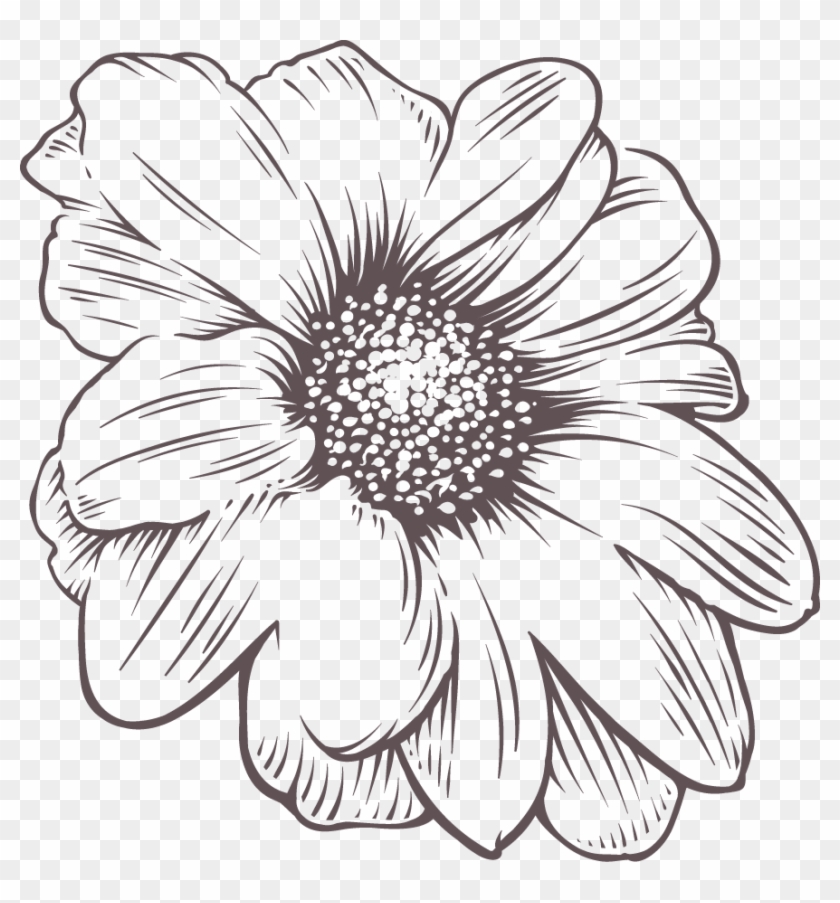 Black Outline Flower - Drawing Clipart #352404