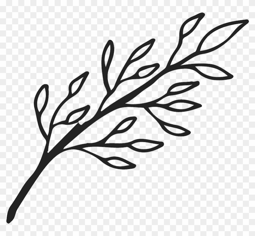 Clipart Royalty Free Library Branch Transparent Outline - Leaf Branch Outline Png