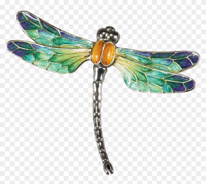 Dragonfly Png Clipart #352556