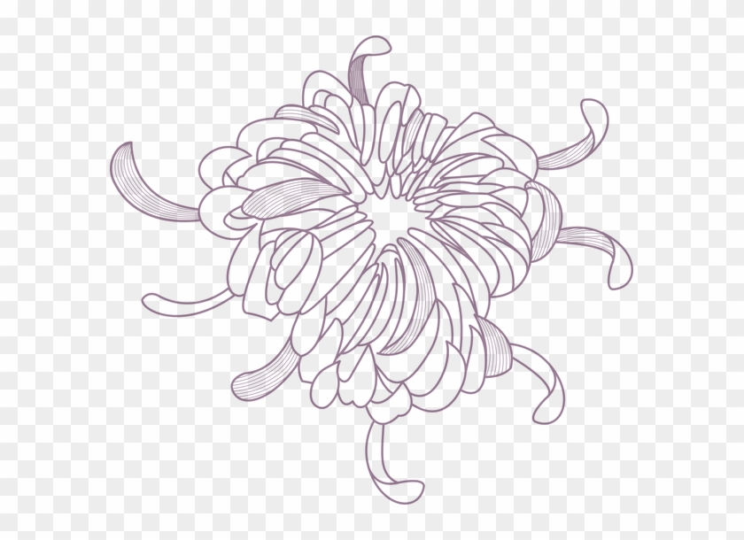 Flower Outline - Sunflower Clipart