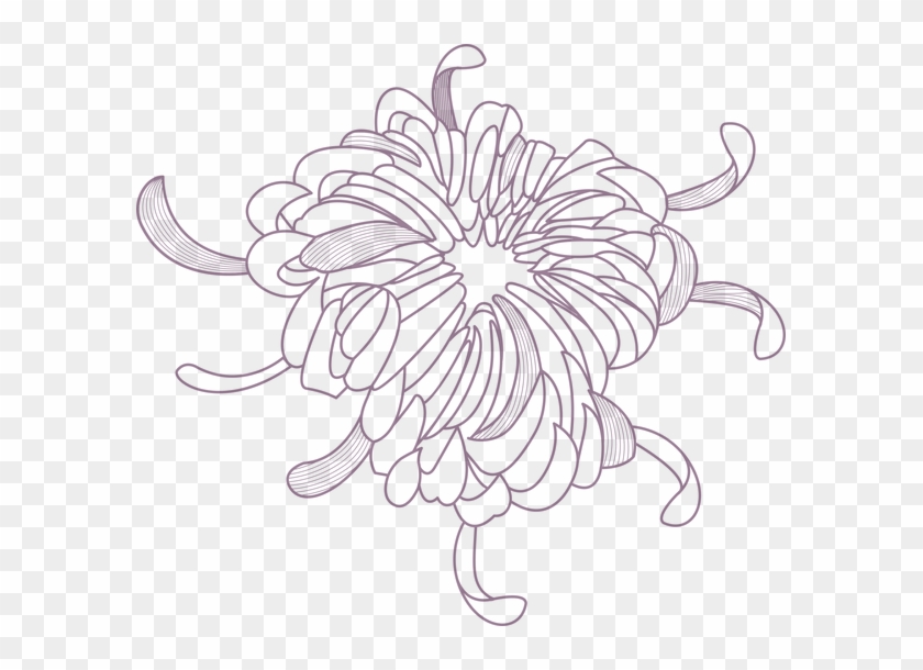 Flower Outline - Sunflower Clipart #352592