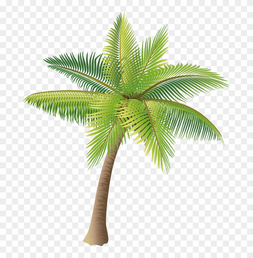 Material Coconut Vector Tree Icon Hd Image Free Png - Palm Tree Vector Png Clipart #353241