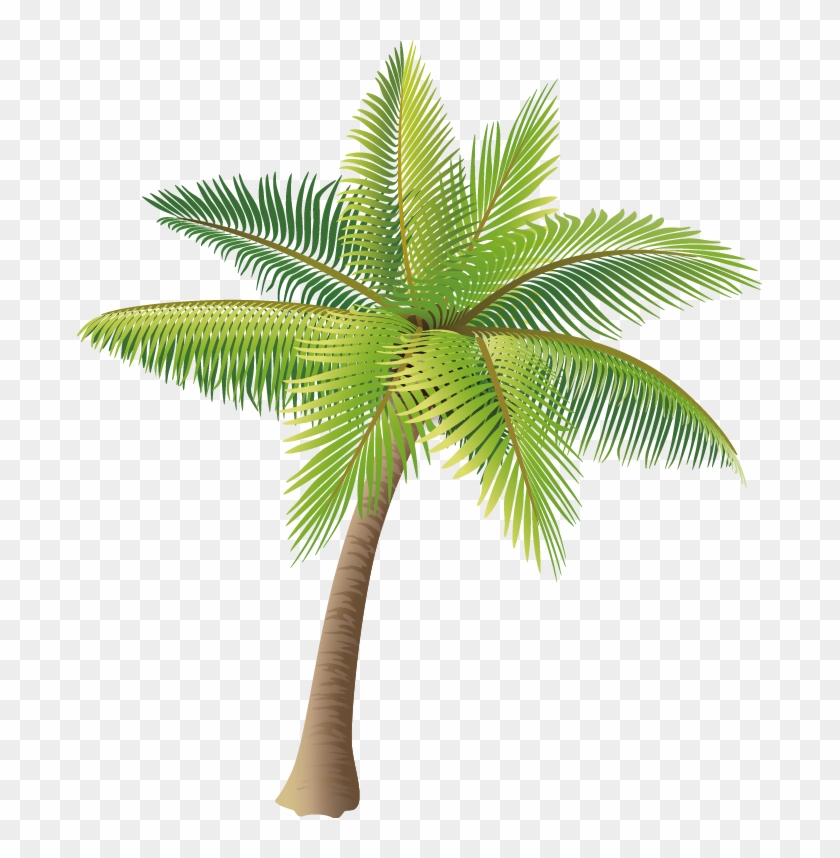 Material Coconut Vector Tree Icon Hd Image Free Png - Palm Tree Vector Png Clipart
