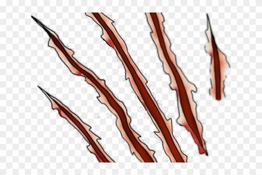 Claw Marks Design Clipart