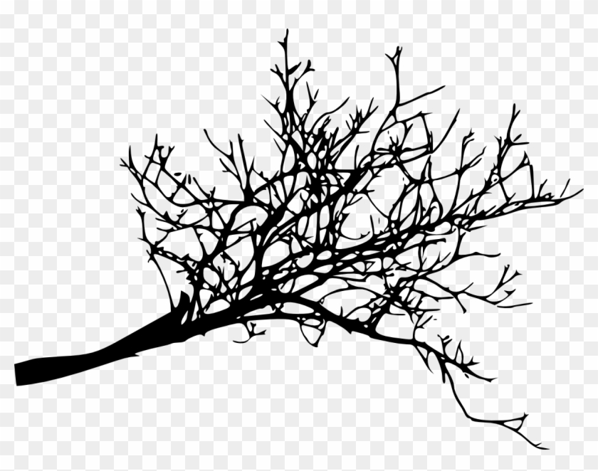 Free Download - Tree Branch Png Silhouette Clipart #354463