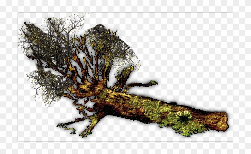 Cff Fallen Tree Jrl - Fallen Tree Png Clipart