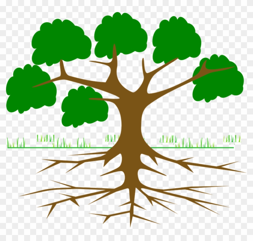 Free Plant Roots Png - Arbol De Problemas Para Llenar Clipart #354756
