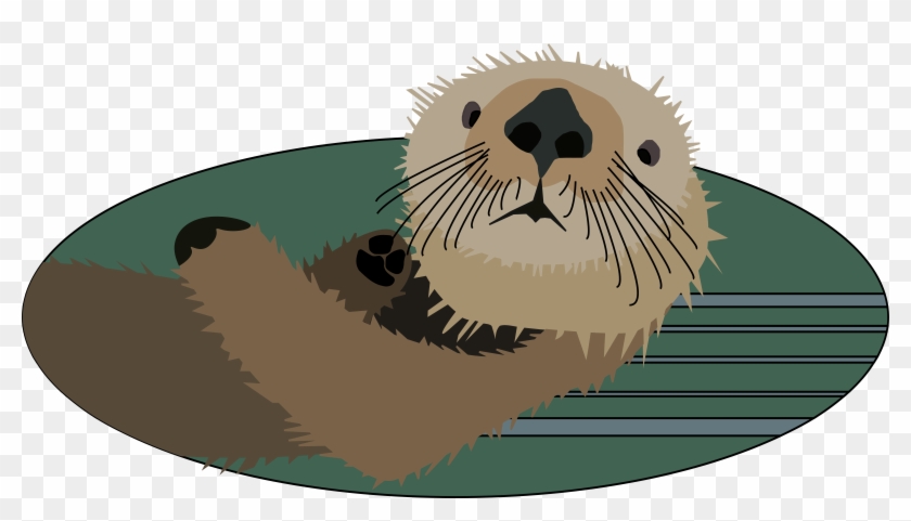 Otter Png Clipart #355074