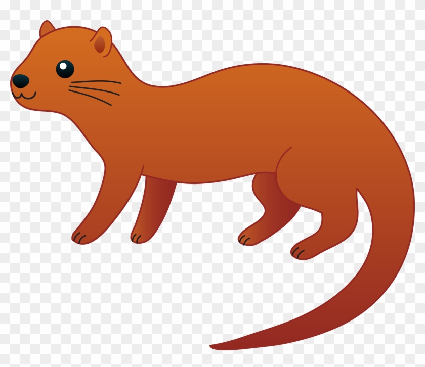 Cartoon Otter Pictures Genuardis Portal - Otter Clipart - Png Download #355111