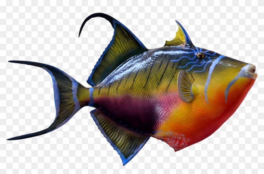 Png Fish Clipart