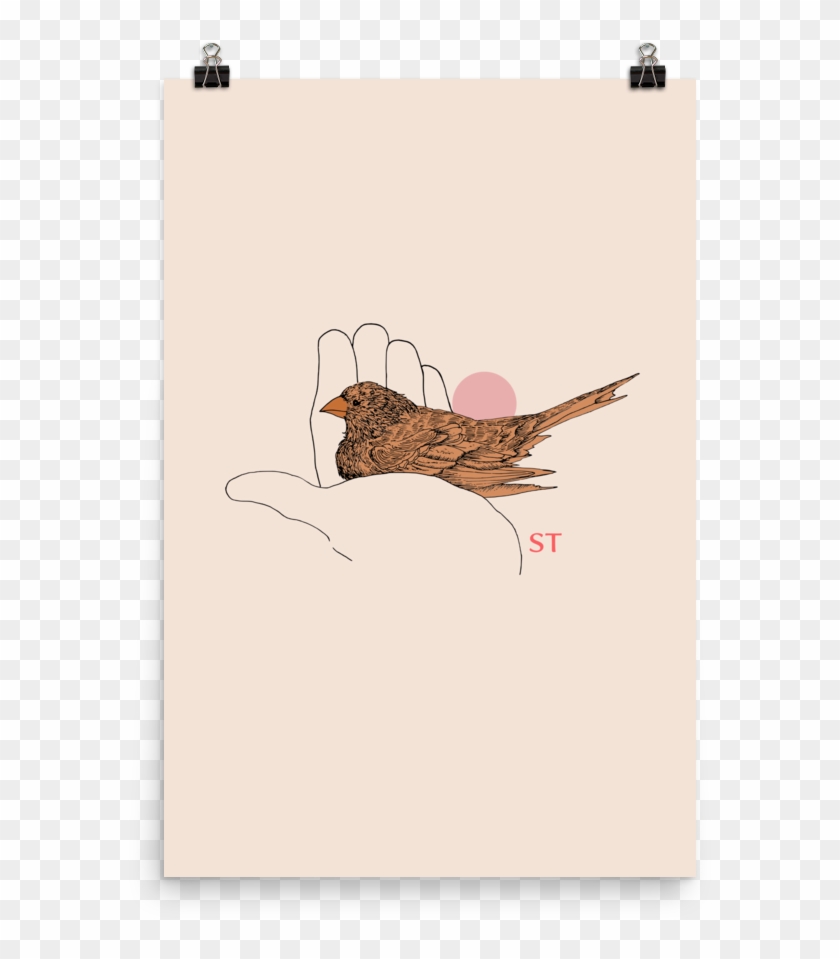 Brown Thrasher Clipart