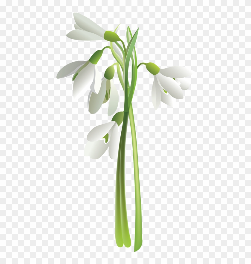 Image Result For Flower Vector - Flower Vector Clipart #355610