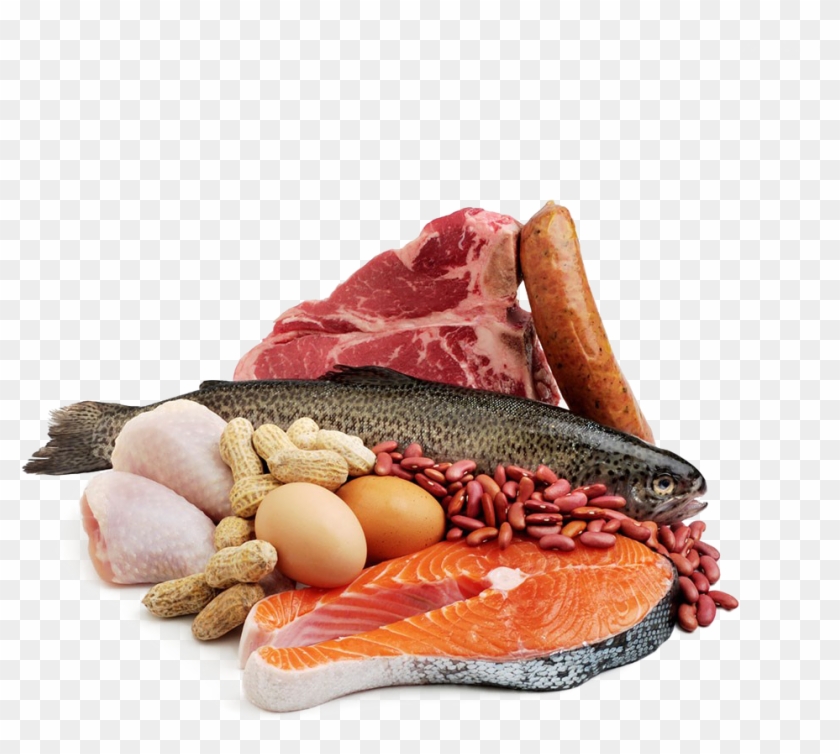Fish And Meat Png Transparent Fish And Meat - Meat Group Clipart #355749